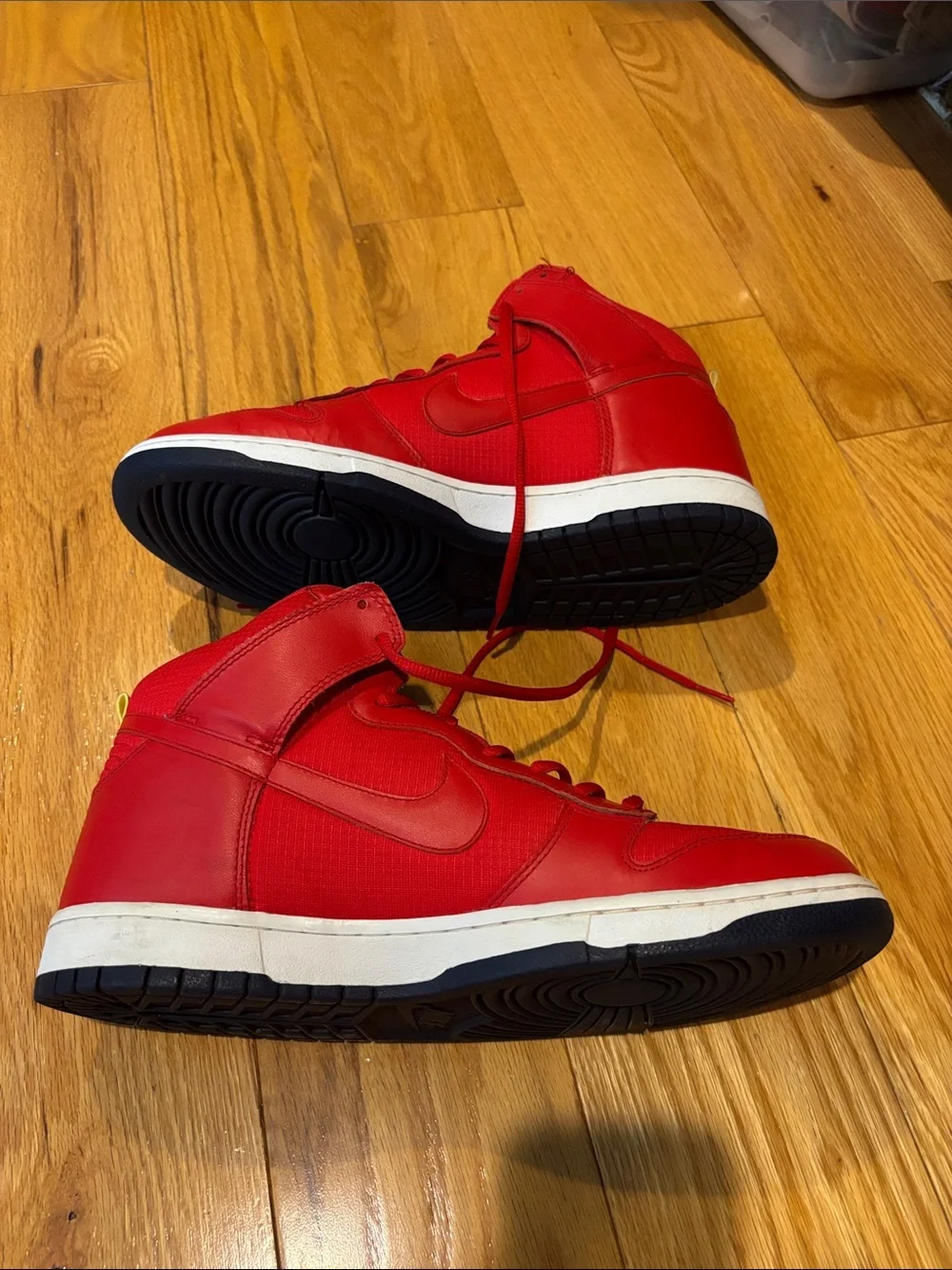 Nike mens dunk
